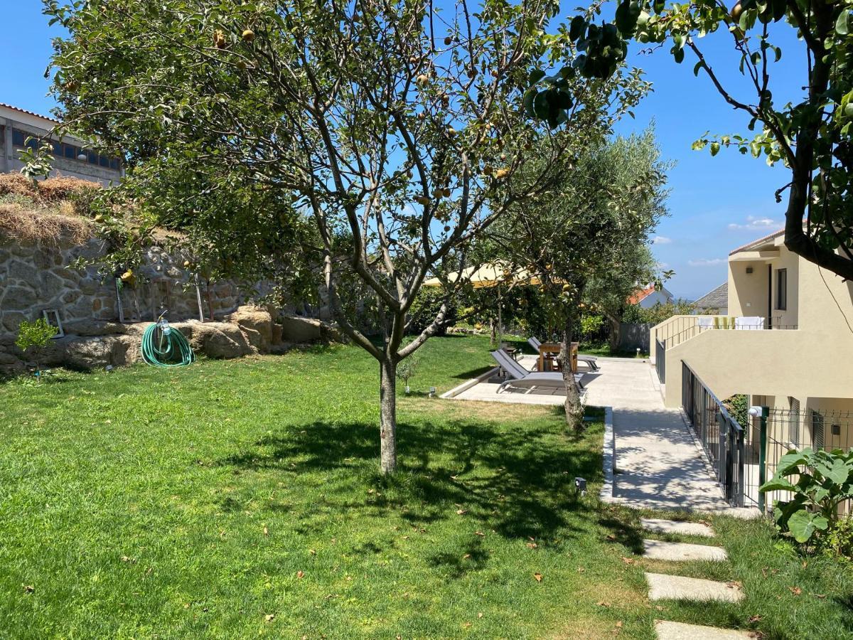 Casa Da Zefinha - Villa, Em Cinfaes, No Douro Eksteriør billede